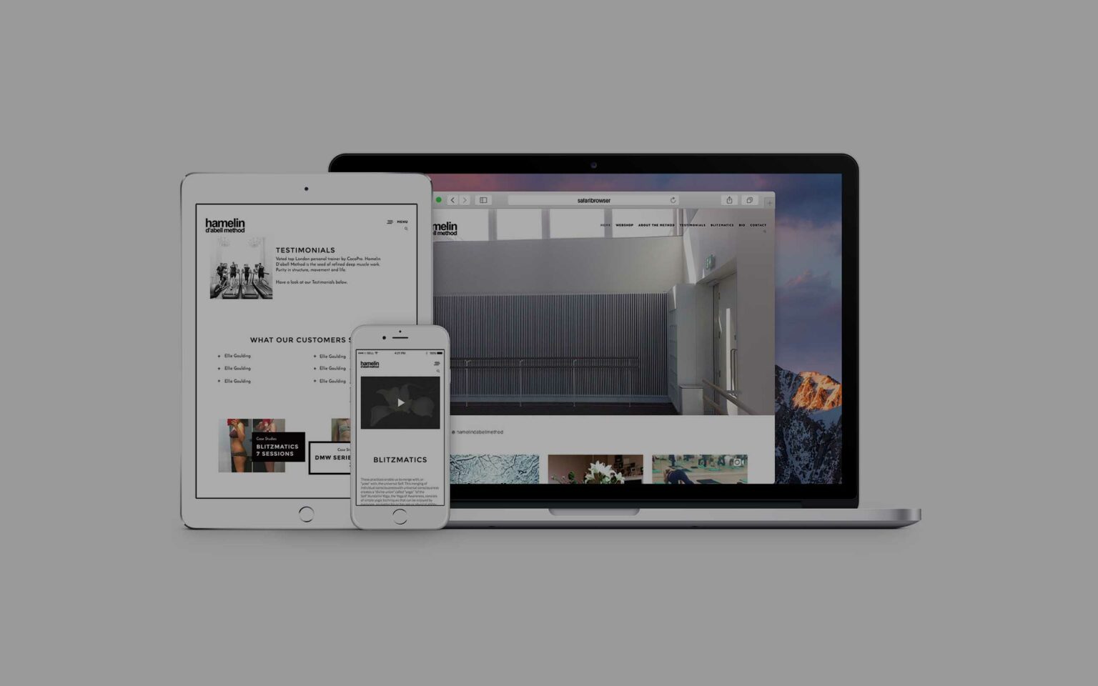 Case: Hamelin D'abell Method — responsive class webshop